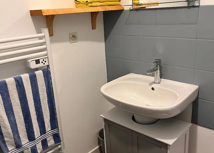 Apartament Le Rafale 52 *